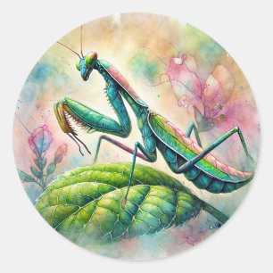 Sticker Rond Mantis De Prière Sur L'Aquarelle Feuille