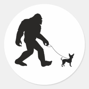 Sticker Rond Marche des pieds Bigfoot Chihuahua