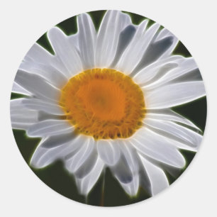 Sticker Rond Marguerite flower power
