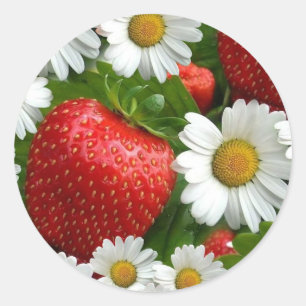 Sticker Rond Marguerites et fraises