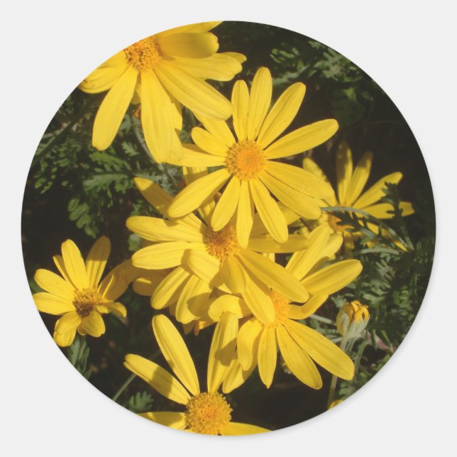 Sticker Rond Marguerites jaunes (Devant)