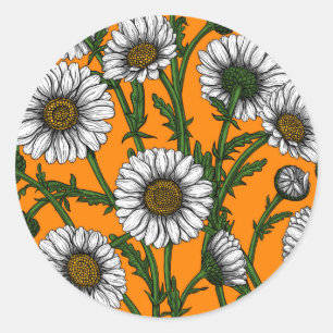 Sticker Rond Marguerites sur orange