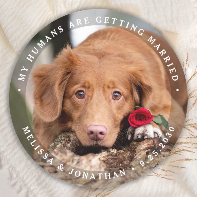 Sticker Rond Mariage animal personnalisé Chien Photo Fiançaille (Créateur téléchargé)