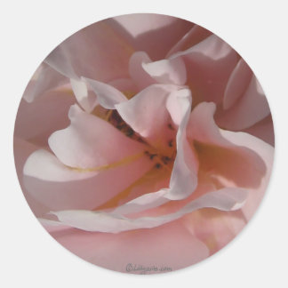 Sticker Rond Mariage d'enveloppe rose classique
