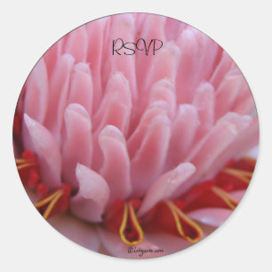Sticker Rond Mariage Enveloppe de gingembre rose Torch Phoques