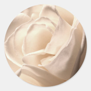 Sticker Rond Mariage Rose blanche Sceau large