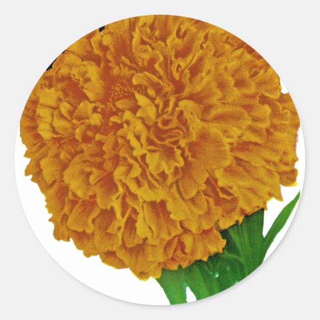 Sticker Rond Marigold Vintage Seed Packet (Devant)