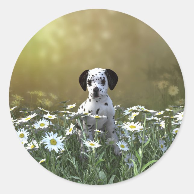 Sticker Rond Marionnette dalmate mignonne dans les marguerites (Devant)