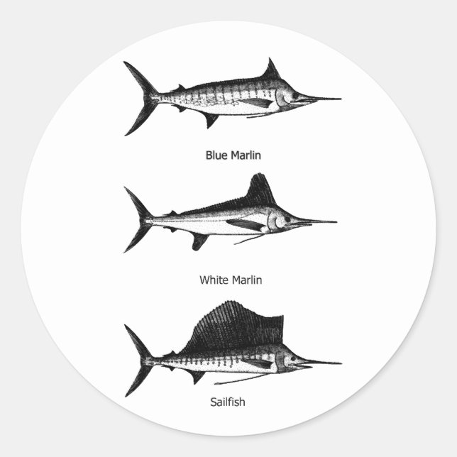 Sticker Rond Marlin Blanc - Marlin Bleu - Logo de Sailfish (Devant)