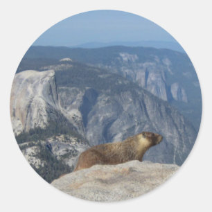 Sticker Rond Marmotte surplombant la Demi-Dôme de nuages Repos 