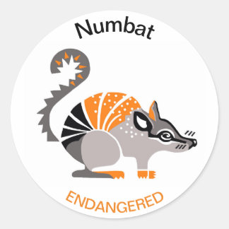 Sticker Rond Marsupial - NUMBAT - Faune - Australie