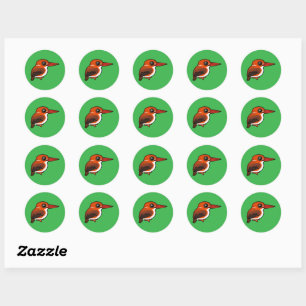 Sticker Rond Martin-pêcheur pygmée de Madagascar Birdorable