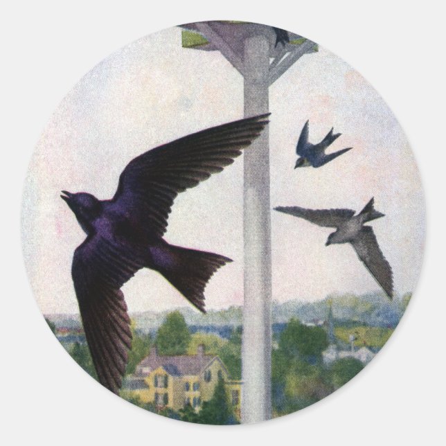 Sticker Rond Martins pourpres et leur maison d'oiseaux (Devant)