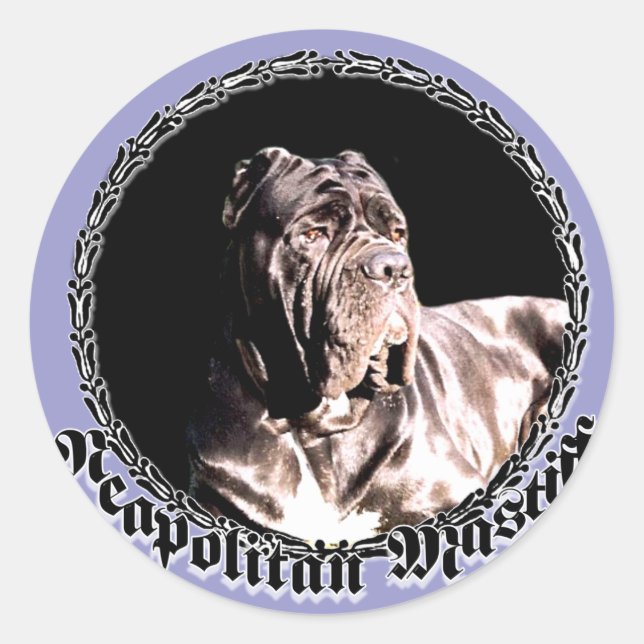 Sticker Rond Mastiff napolitain (Devant)