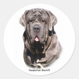 Sticker Rond Mastiff napolitain