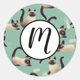 Sticker Rond Mauvais chats siamois frapper des trucs