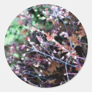 Sticker Rond mauvaises herbes en rouge et vert
