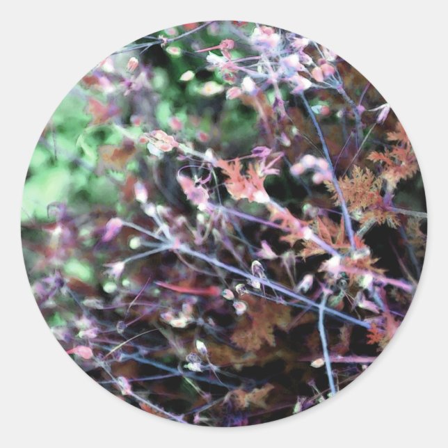 Sticker Rond mauvaises herbes en rouge et vert (Devant)