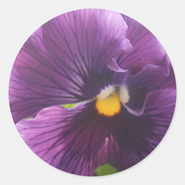 Sticker Rond Mechteld (Devant)