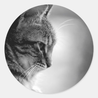 Sticker Rond Méditation de chats noir et blanc