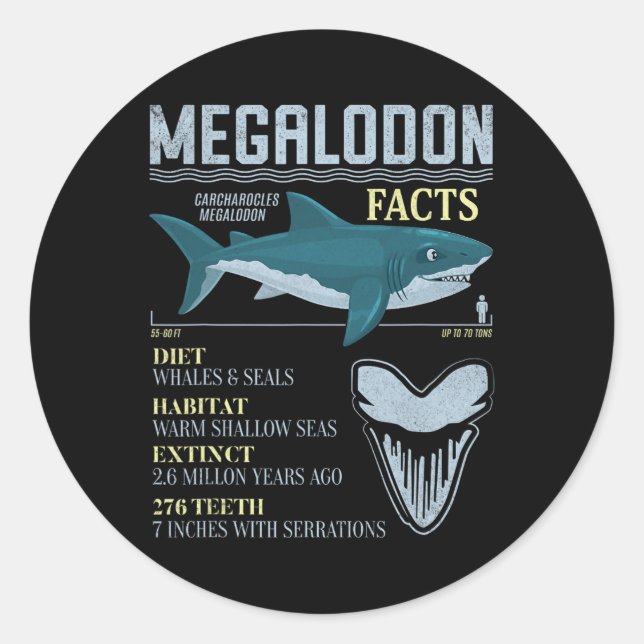 Sticker Rond Megalodon Faits Meg Préhistorique Requin Fossiles  (Devant)