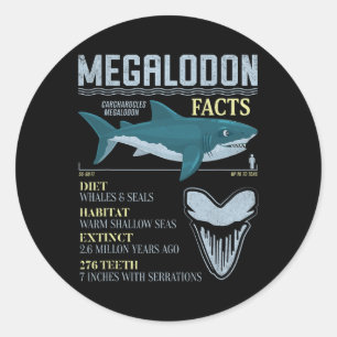 Sticker Rond Megalodon Faits Meg Préhistorique Requin Fossiles 