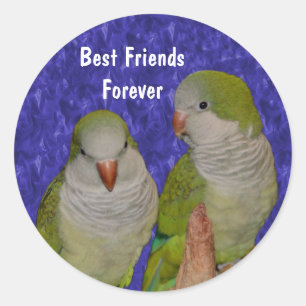 Sticker Rond Meilleur Amis Cute Oiseaux Amitié