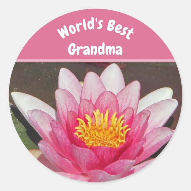 Sticker Rond Meilleure Grandma Vivid Pink Water Lily Flower (Devant)