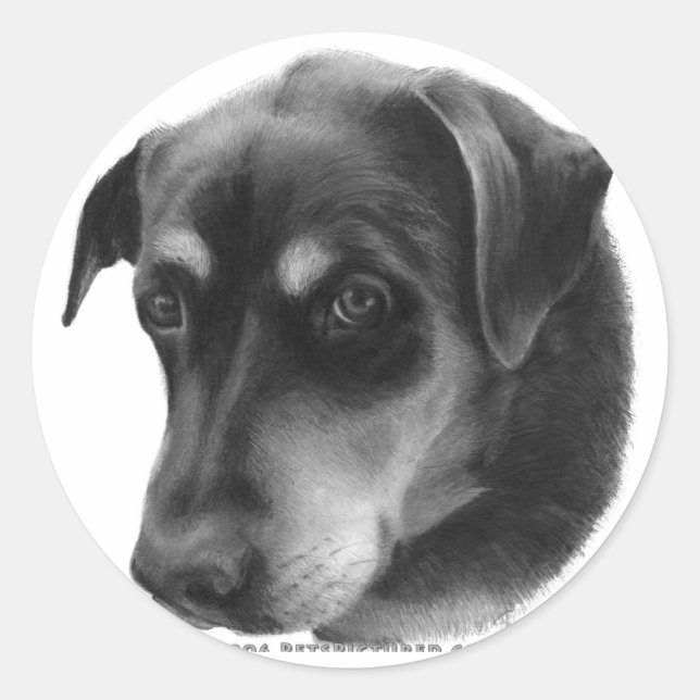 Sticker Rond Mélange Rottweiler-Lab (Devant)