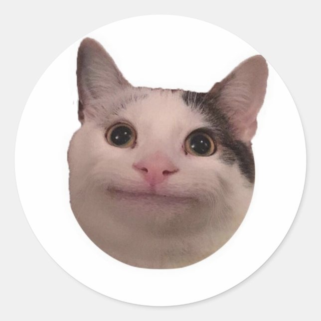 Sticker Rond mème de chat drôle (Devant)