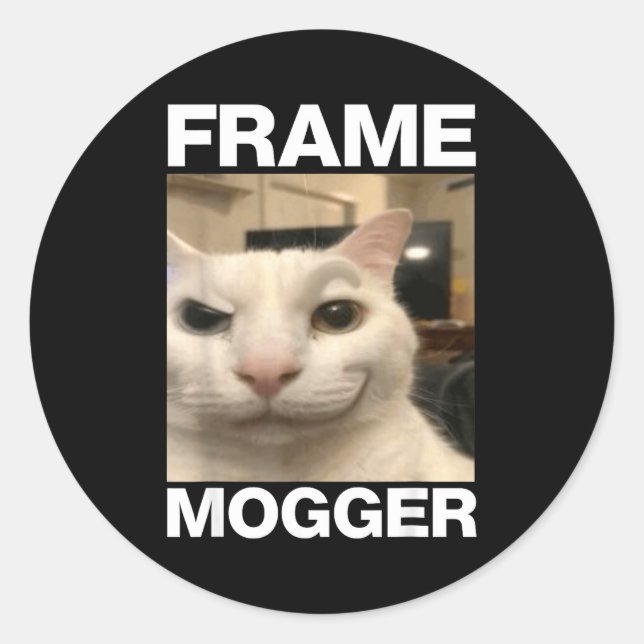 Sticker Rond Mème de chat mogging en cadre  (Devant)
