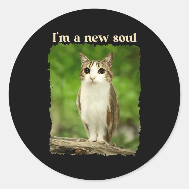 Sticker Rond Mème drôle de Meowl, Mème de chat hibou Brainrot G (Devant)