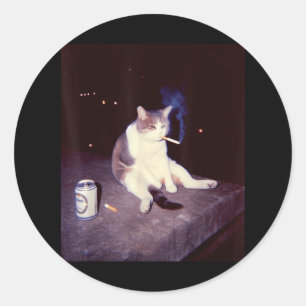 Sticker Rond Mème Fumeur Drôle Cigarette Kitten Brainrot Silly