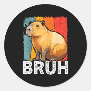 Sticker Rond Mème graphique drôle capybara bruh pour garçons fi