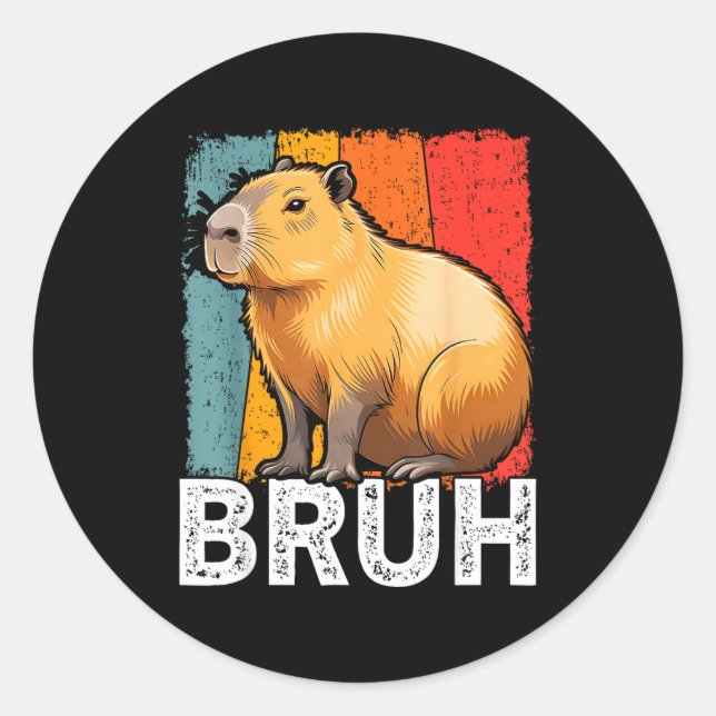 Sticker Rond Mème graphique drôle capybara bruh pour garçons fi (Devant)