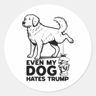 Sticker Rond Même mon chien déteste Trump