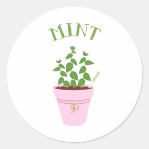 Sticker Rond Menthe