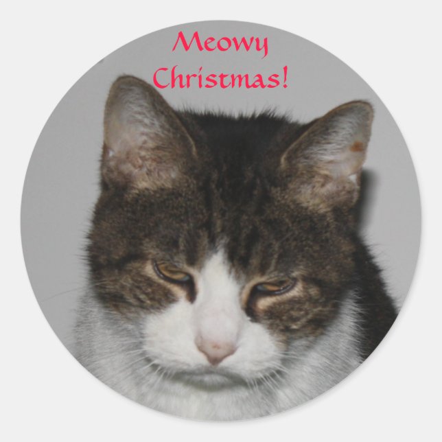 Sticker Rond Meowy Noël ! -Stickers de voeux de vacances (Devant)