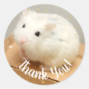 Sticker Rond Merci - Bâton Carré Hamster Blanc Hammyville