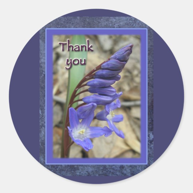 Sticker Rond Merci bleu sauvage Hyacinth (Devant)