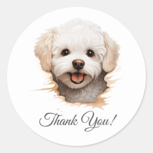 Sticker Rond Merci de chien Bichon Frise
