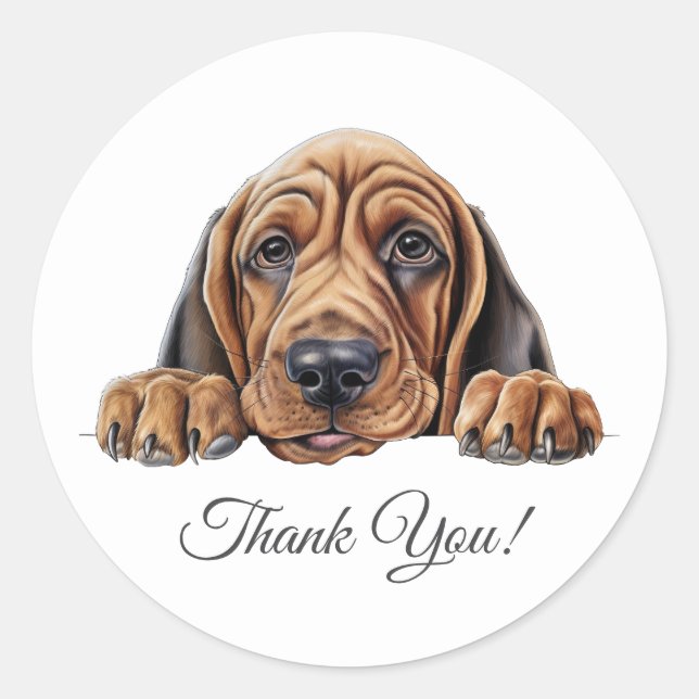 Sticker Rond Merci de chien de Bloodhound (Devant)