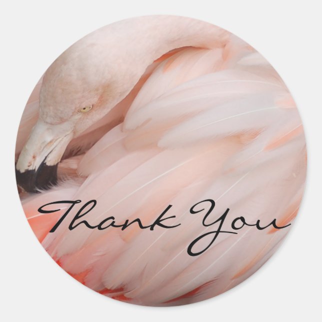 Sticker Rond Merci de Flamant rose gracieux (Devant)