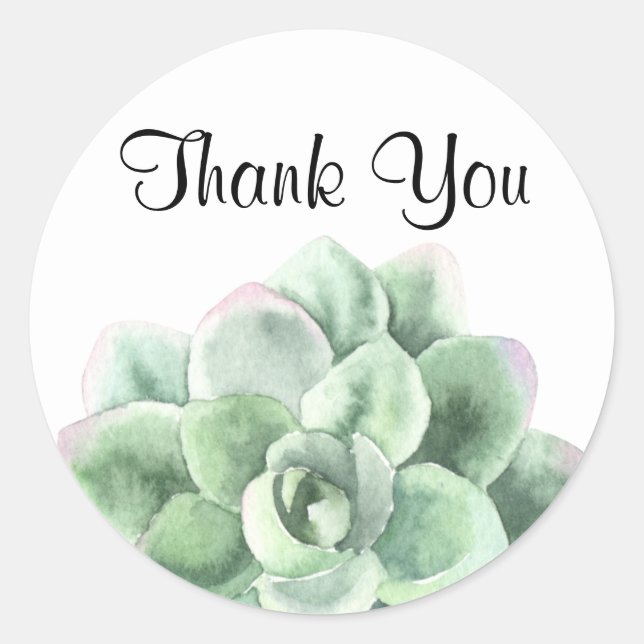 Sticker Rond Merci, Green Echeveria Succulent Plante (Devant)