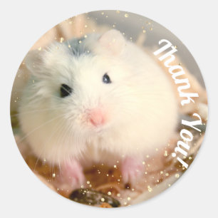 Sticker Rond Merci - Hamster blanc de Hammyville