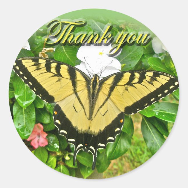 Sticker Rond Merci Homme Tigre Swallowtail Papillon articles (Devant)