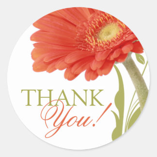 Sticker Rond Merci | Orange Gerbera Daisy