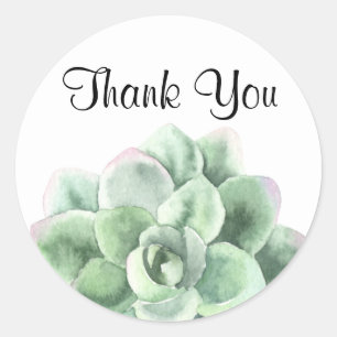 Sticker Rond Merci, usine succulente verte d'Echeveria