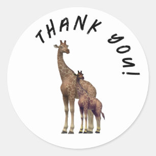 Sticker Rond Merci Zebra personnalisable
