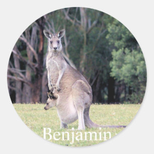 Sticker Rond Mère Kangaroo avec bébé Joey dans sa poche